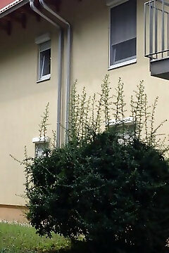 Kőnig-ift Apartman Hévíz