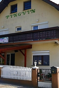 Pingvin Apartman Balatonmáriafürdő