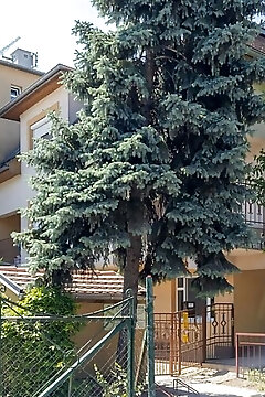 Compass Apartmanok V. Hajdúszoboszló