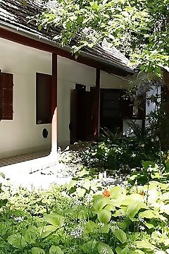 Vida Ház Kárász