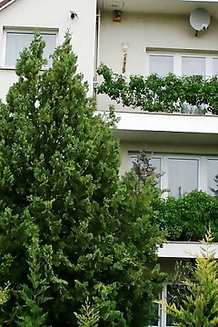 Apartman Donau Tát