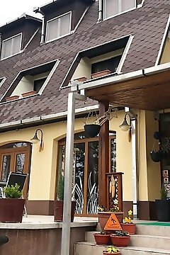 Hotel Flóra Gyopárosfürdő
