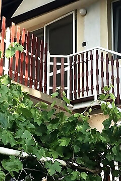 Funky Apartman Agárd