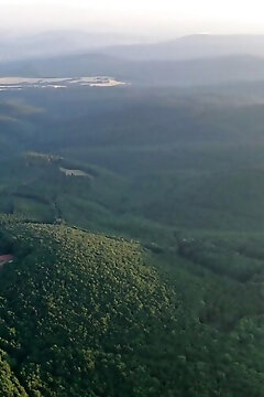 Szent Orbán Erdei Wellness Hotel Kóspallag