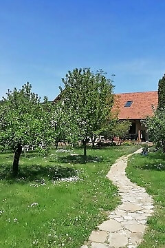 Pista Papa Tanyája Balatongyörök