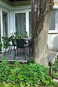 Méhecske Apartman  Balatonlelle