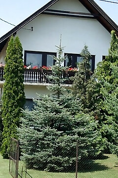 Tulipán Vendégház Balatonboglár