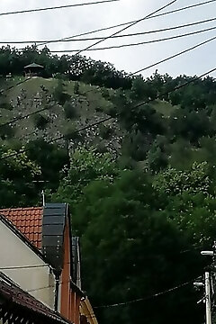 Kis Nyugi Zug Apartman Pécs