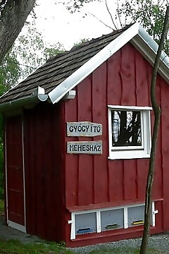 Vadvirág Méhes és Gyógyítókert Apartman Orfalu