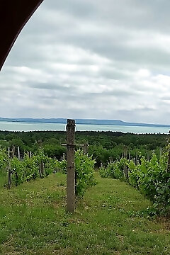 Napraszállás Vendégház Balatonakali