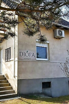 Diófa Vendégház Daruszentmiklós